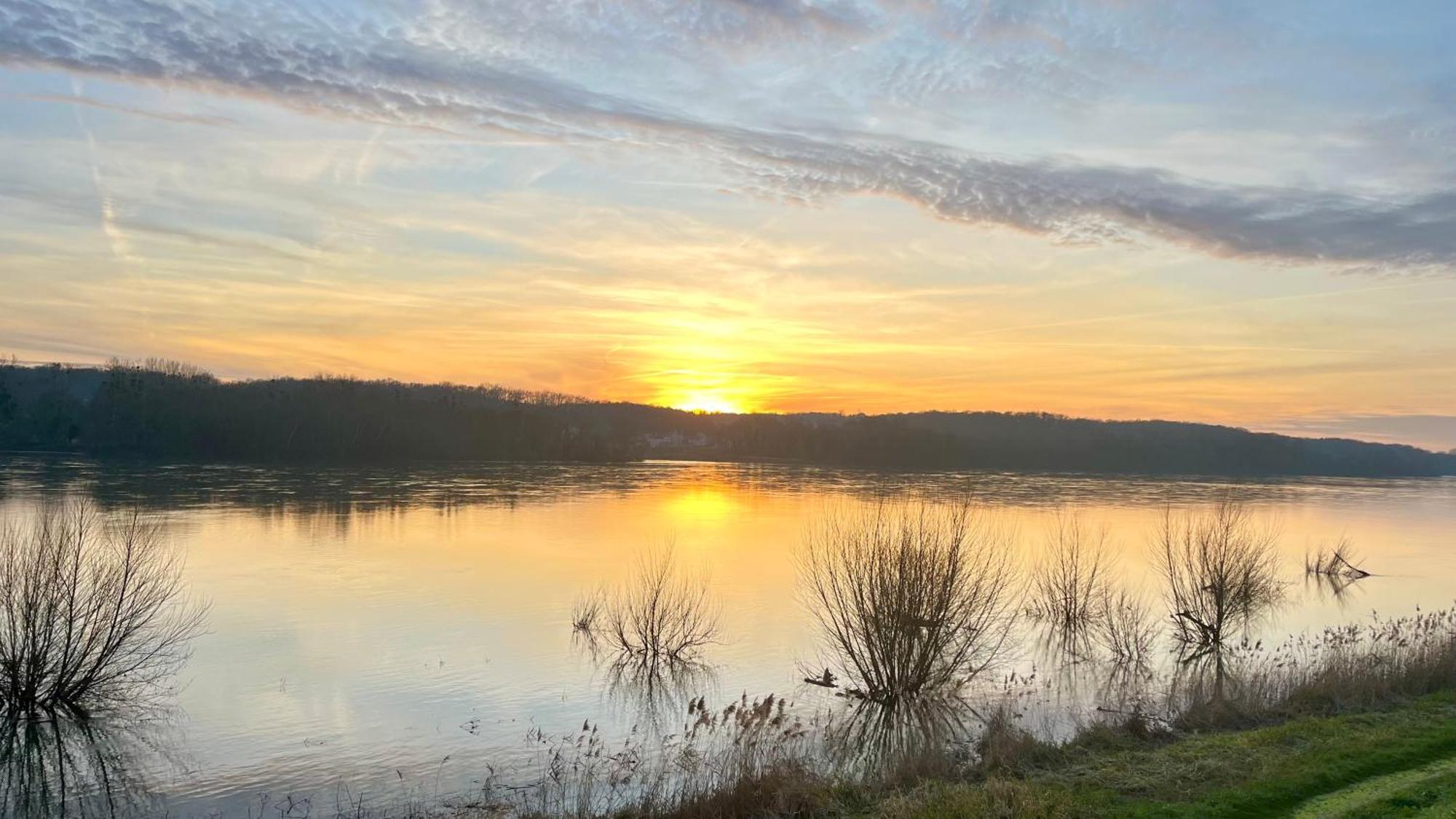 Un Mirage Tropical En Bord De Loire, Love Et Detente Saint-Clément-des-Levées エクステリア 写真